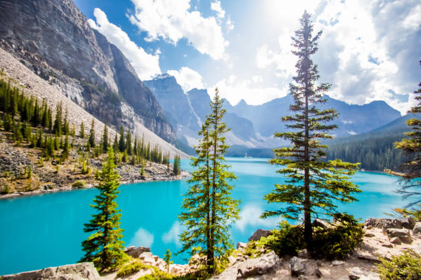 istock peyto lake 1159510229
