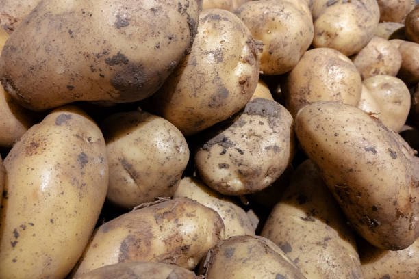 istock fresh potatoes sold on market 1159510241
