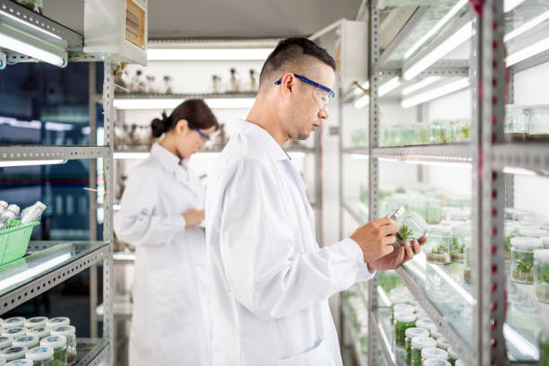 istock Asian scientists in an agricultural laboratory 1159513447