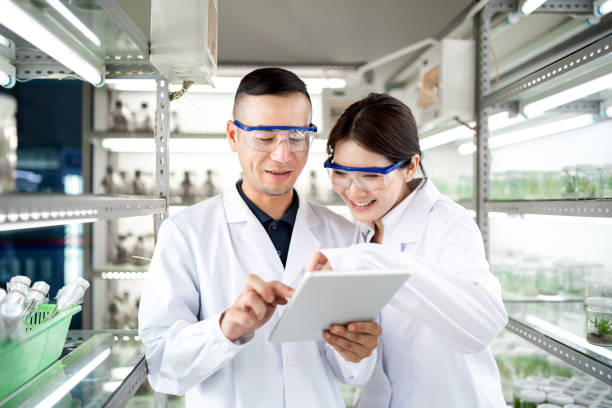 istock Asian scientists using a digital tablet in an agricultural laboratory 1159515598