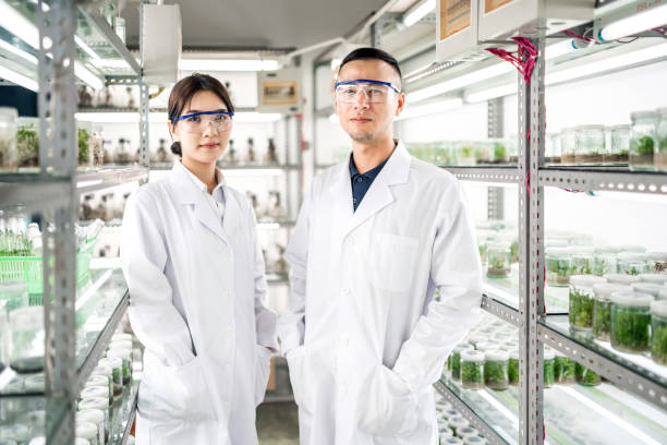 Asian scientists in an agricultural laboratory