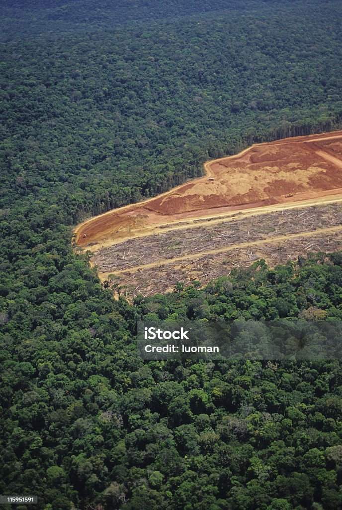 Déforestation dans la forêt amazonienne - Photo de Déforestation libre de droits