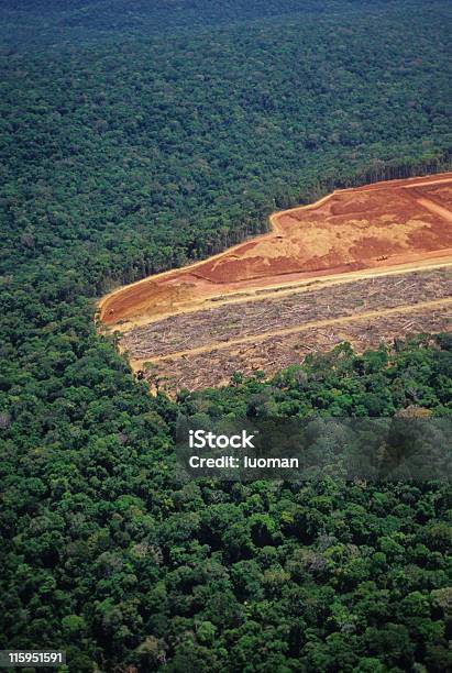 Photo libre de droit de Déforestation Dans La Forêt Amazonienne banque d'images et plus d'images libres de droit de Déforestation - Déforestation, Région du fleuve Amazone, Forêt amazonienne