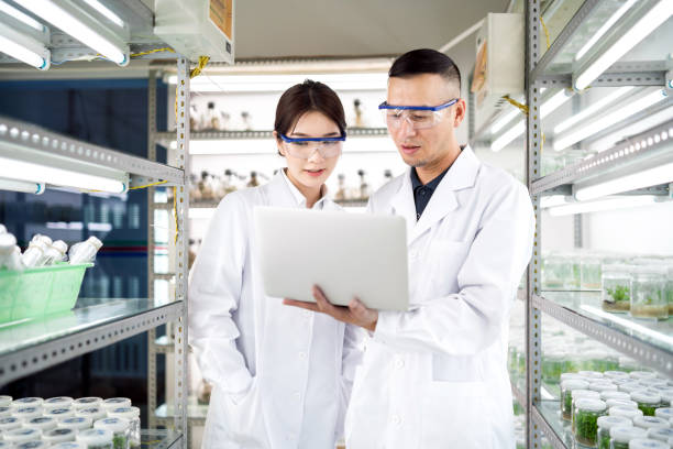 istock Asian scientists using a laptop in an agricultural laboratory 1159515929