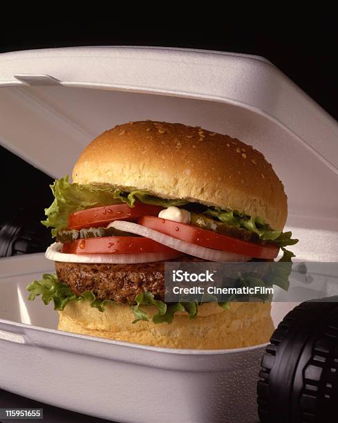 Podróży Hamburger 4 X 5 Film - zdjęcia stockowe i więcej obrazów Barbecue - Barbecue, Bez ludzi, Burger