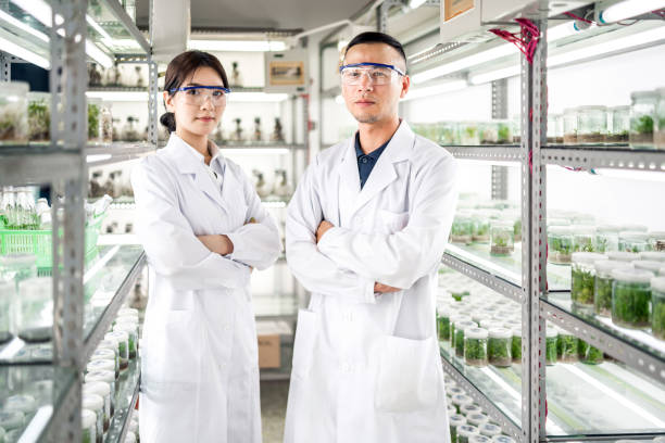 istock Asian scientists in an agricultural laboratory 1159517040