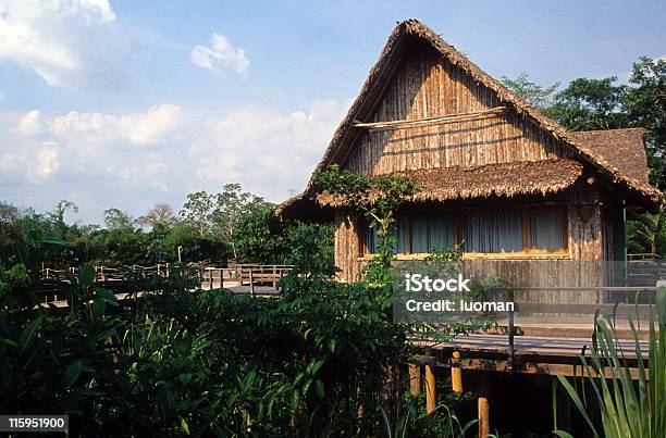 Giungla Hotel - Fotografie stock e altre immagini di Albergo - Albergo, Albero, Albero tropicale