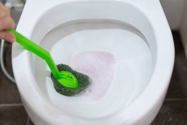 Maid cleaning a dirty toilet close up, home work, hygienic life style concept.