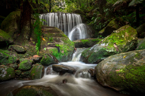 istock Spectacular cascading waterfall in Leura, Blue Mountains 1159520020