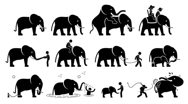 Human And Elephant Pictograms Icons Stock Illustration - Download Image Now  - Elephant, Riding, Animal - iStock