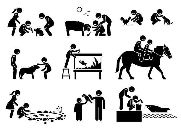 ilustraciones, imágenes clip art, dibujos animados e iconos de stock de personas alimentándose e interactuando con animales domésticos. - horse child animal feeding