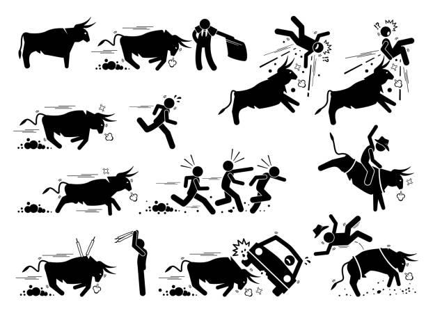 Spain bullfight and bull run event pictogram icons. Stick figure illustrations depict angry bull charging at matador, people, car, and also rodeo game. banderilla stock illustrations