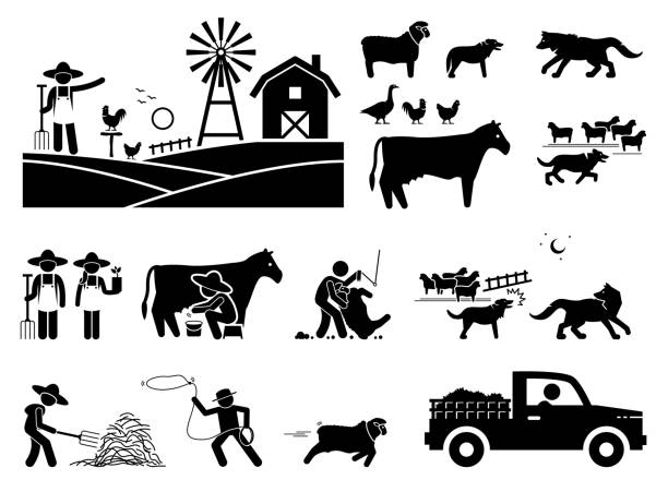 illustrations, cliparts, dessins animés et icônes de mode de vie traditionnel d'agriculteur à l'étable. - éleveur