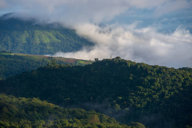 istock Fog on the forest and mountains 1159526555
