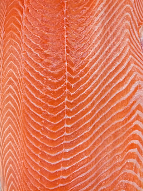 close-up macro photo of salmon fillet for texture background design stock photo