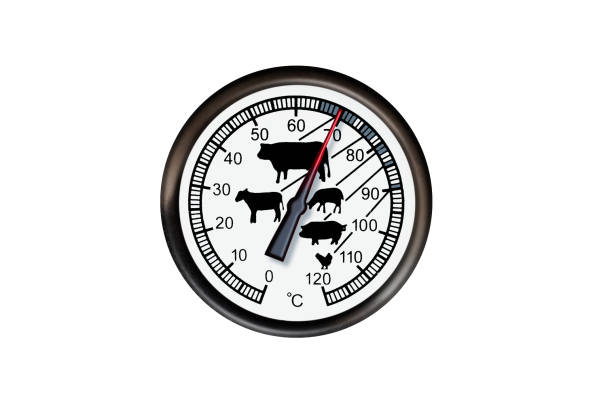 istock Meat thermometer isolated on a white background 1159528450