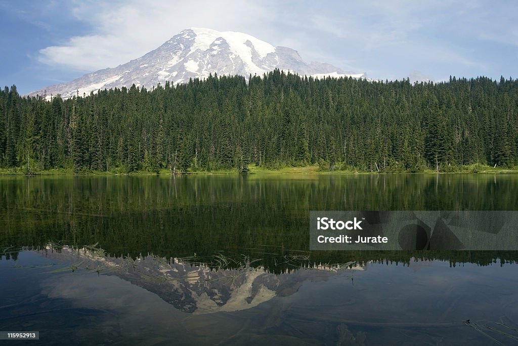 Rainier reflejo - Foto de stock de Agua libre de derechos