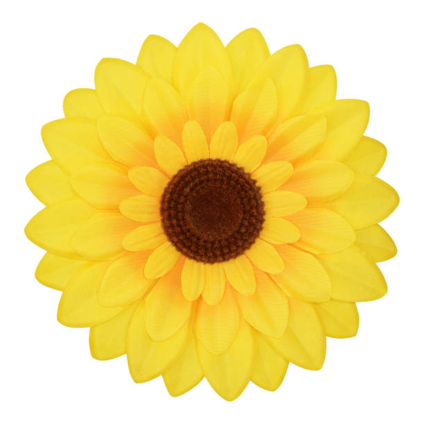 istock Artificial sunflowers - yellow and beautiful against white background 1159529366