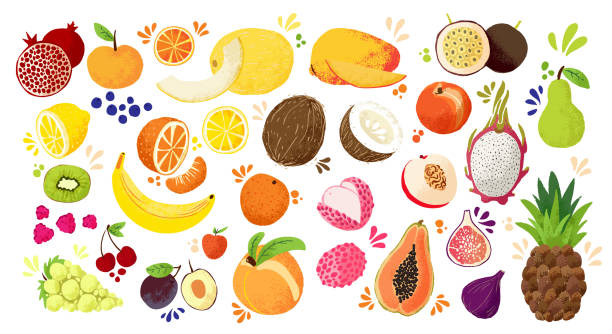 Set of colorful hand draw fruits - tropical sweet fruits, and citrus fruit illustration. Apple, pear, orange, banana, papaya, dragon fruit, lichee and other. Vector colored sketch isolated illustration. Juicy Fruit and Berries collection Set of colorful hand draw fruits - tropical sweet fruits, and citrus fruit illustration. Apple, pear, orange, banana, papaya, dragon fruit, lichee and other. Vector colored sketch isolated illustration mango fruit drawing stock illustrations