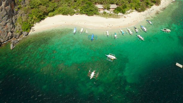 istock Tropical island with sandy beach. El nido, Philippines 1159532239
