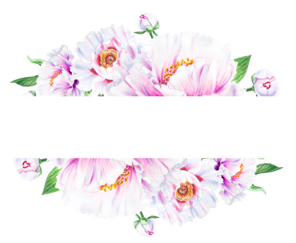istock Beautiful white peony text frame. Bouquet of flowers. Floral print. Marker drawing. 1159534661