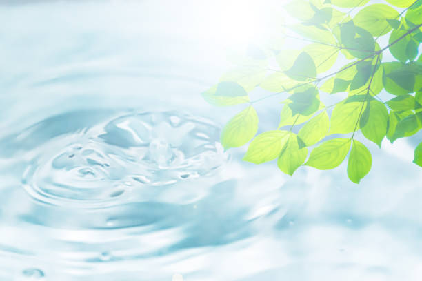 エコロジー - nature ripple summer plant ストックフォトと画像
