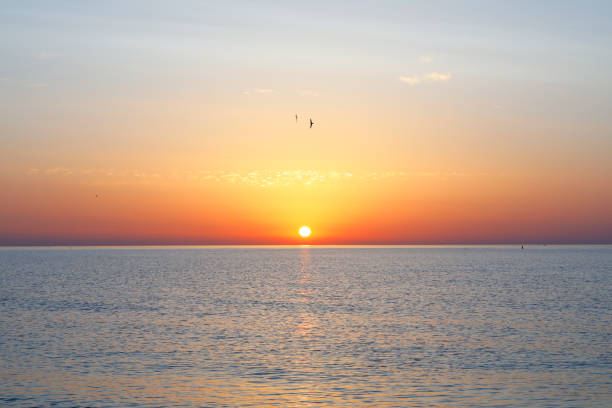 North Sea landscape in the Netherlands