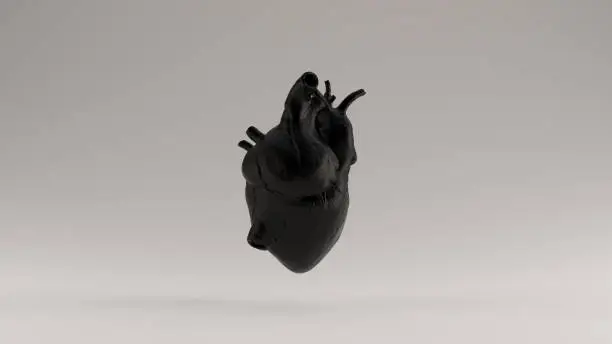 Photo of Black  Heart Anatomical