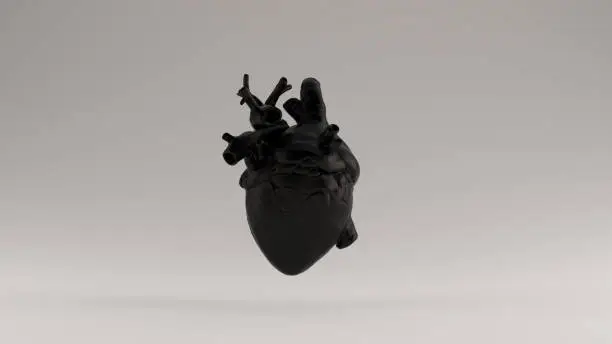 Photo of Black  Heart Anatomical