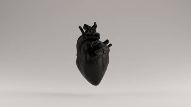 istock Black  Heart Anatomical 1159540158
