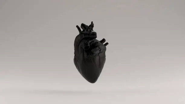 Photo of Black  Heart Anatomical