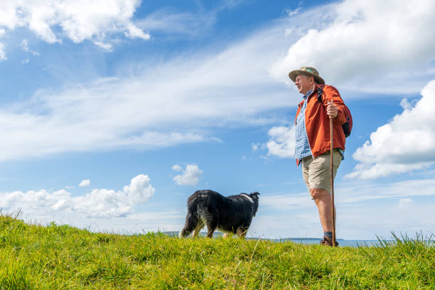 istock Active senior man hiking in countryside 1159540270