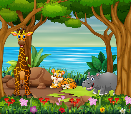 Wild Animals Cartoon Living In The Beautiful Forest Stock Illustration -  Download Image Now - iStock