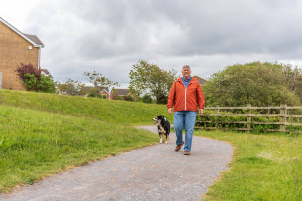 istock Active senior man walking in countryside 1159540308