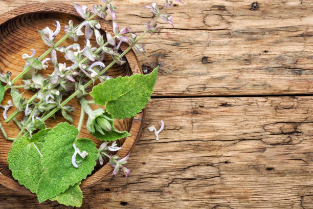 istock Sage leaves on wooden table 1159541239