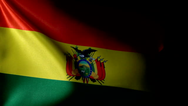 Bolivian Flag Flapping