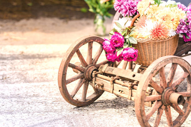 Wooden old cart with flowers. Visible roughness and cracks. The background is blurred.