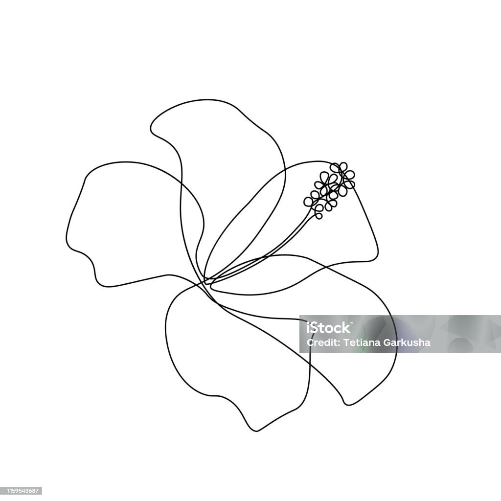 Fleur d'Hibiscus - clipart vectoriel de Fleur - Flore libre de droits