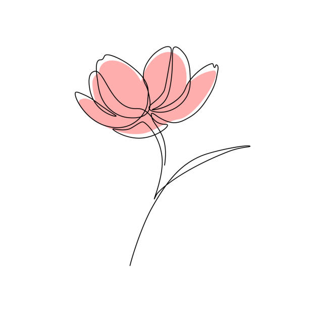 Flower Abstract flower in one line art drawing style. Vector illustration flourish art illustrations stock illustrations