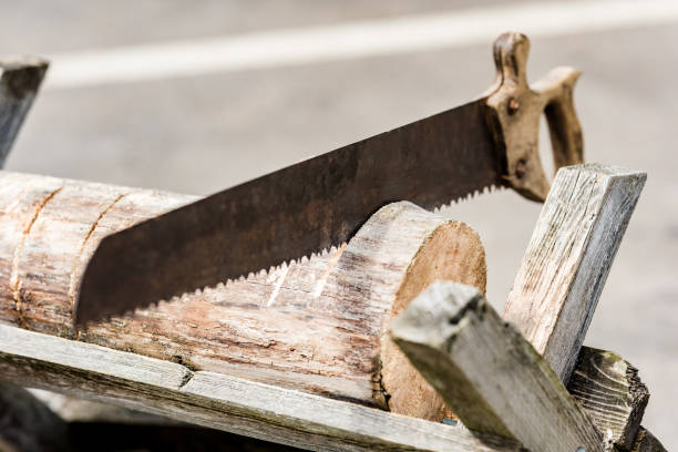 istock Old rusty saw with wooden handle 1159544612