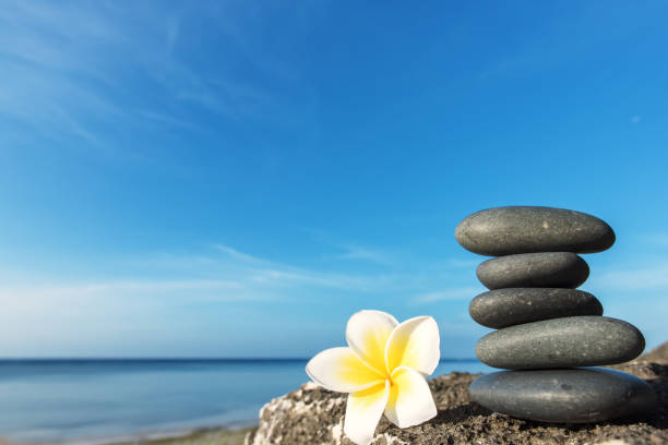 stos kamieni zen z kwiatem plumeria nad morzem - stone zen like buddhism balance zdjęcia i obrazy z banku zdjęć