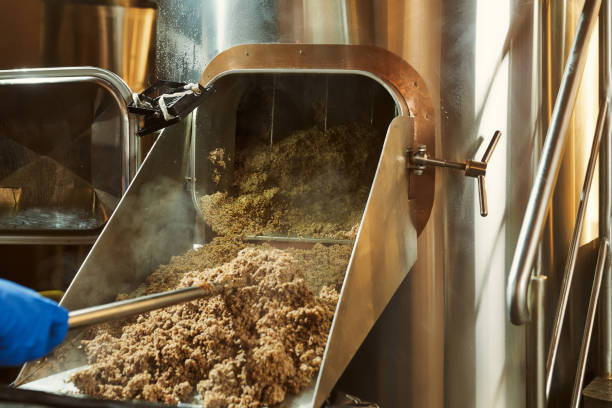 Mashing of milled malt grains for preparing malt. Process of brewing grain of barley.
