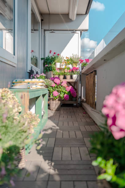 istock Beautiful different colored balcony flowers 1159546435
