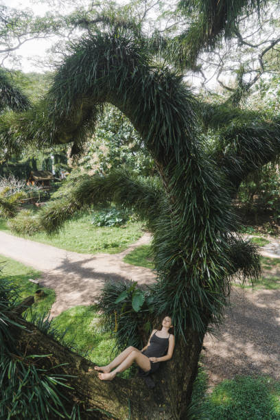 Scenic view of saman tree tunnel  Jawata Benculuk in Banyuwangi, East Java