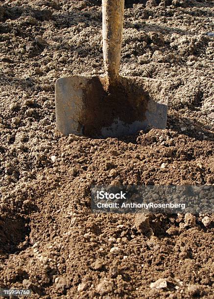 Foto de Cavar O Solo e mais fotos de stock de Botânica - Assunto - Botânica - Assunto, Cavar, Começo