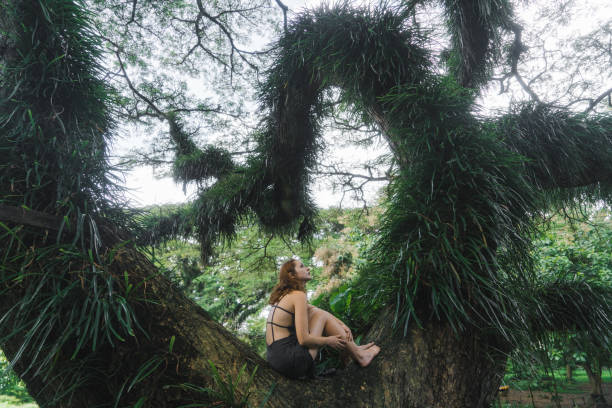 istock Woman sitting on saman tree in  Jawata Benculuk, Banyuwangi, East Java 1159548401