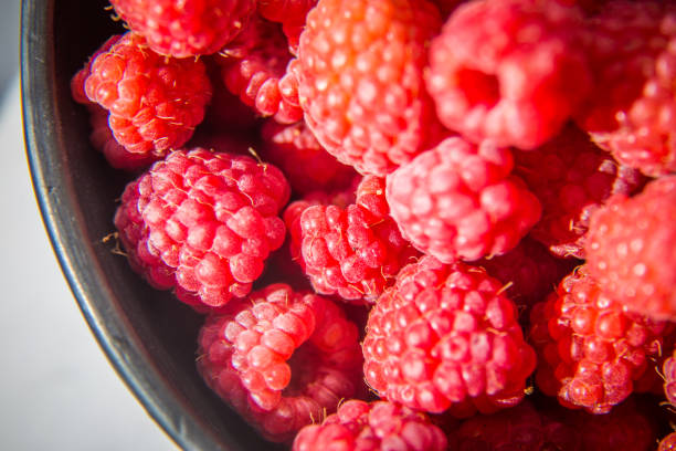 Beautiful, freshly picked garden raspberries in the summer. Summer berries, natural food, healthy dessert.