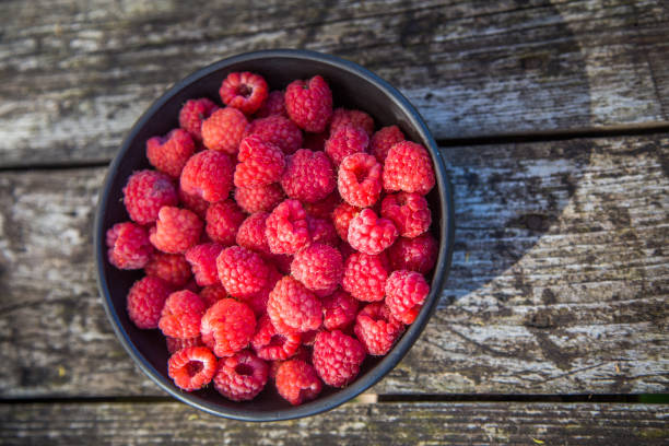 istock Beautiful, freshly picked garden raspberries in the summer. 1159553630