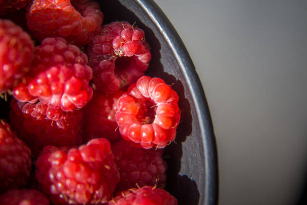 Beautiful, freshly picked garden raspberries in the summer.