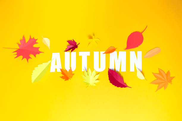istock Leaves of paper fall red, orange, yellow leaf fall. 1159555299